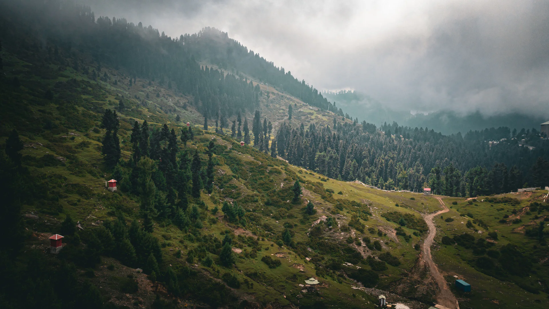 Forested mountain ridges rising above Malam Jabba in Swat